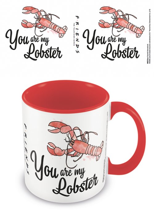 FRIENDS (YOU ARE MY LOBSTER)